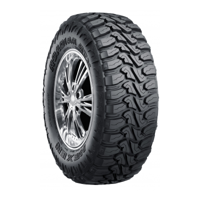 Nexen Roadian MTX RM7