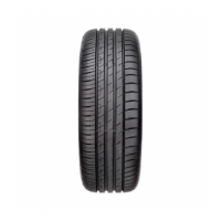 Goodyear Efficientgrip performance 2 205/55R16 91H