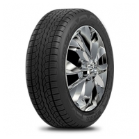 Budget Mozzo STX