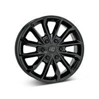 MSW 42 Van G.Blk