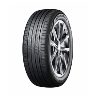 Nexen Roadian gtx ev